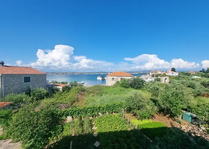 Faust * פרוויץ' שפורינה